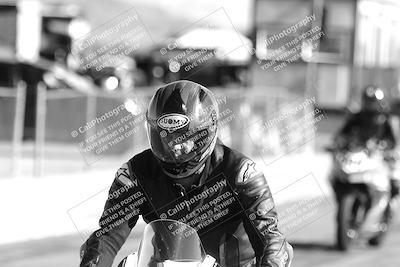 media/Feb-23-2025-2WTD (Sun) [[9604a77d5d]]/1-Around the Pits/